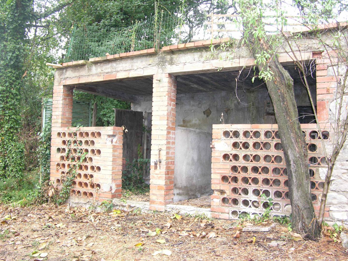  - foto 2