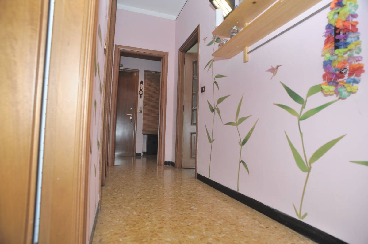  - foto 5
