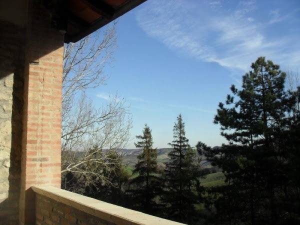  - foto 3