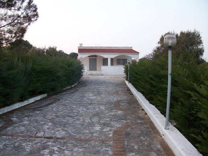  - foto 2