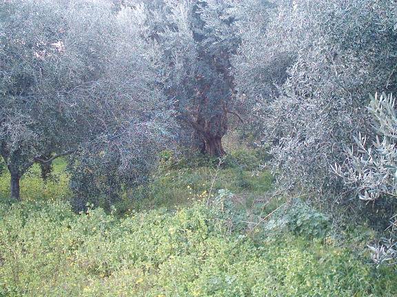  - foto 10