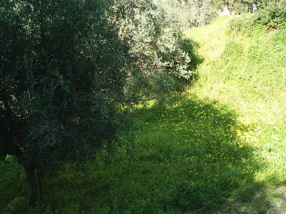  - foto 2