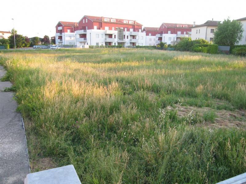  - foto 9