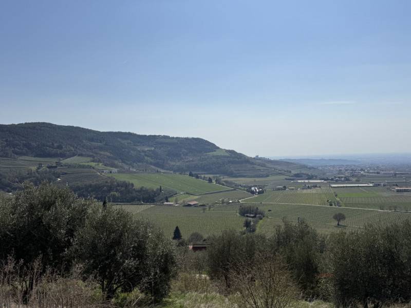  - foto 4