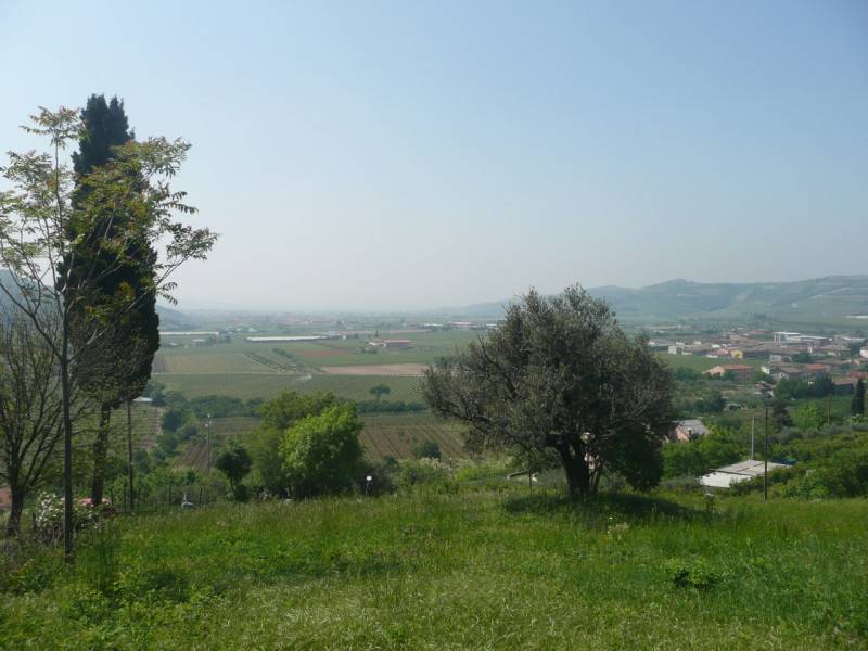 Altro Via Saline, Tregnago