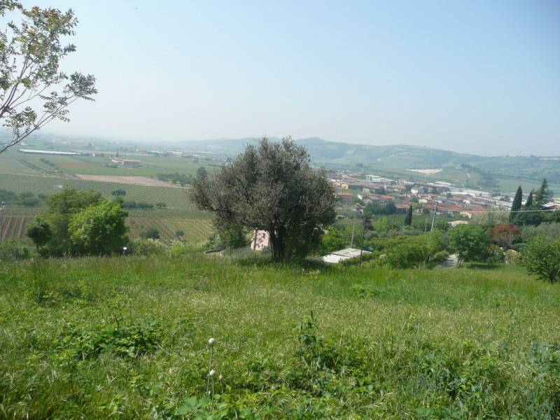  - foto 5