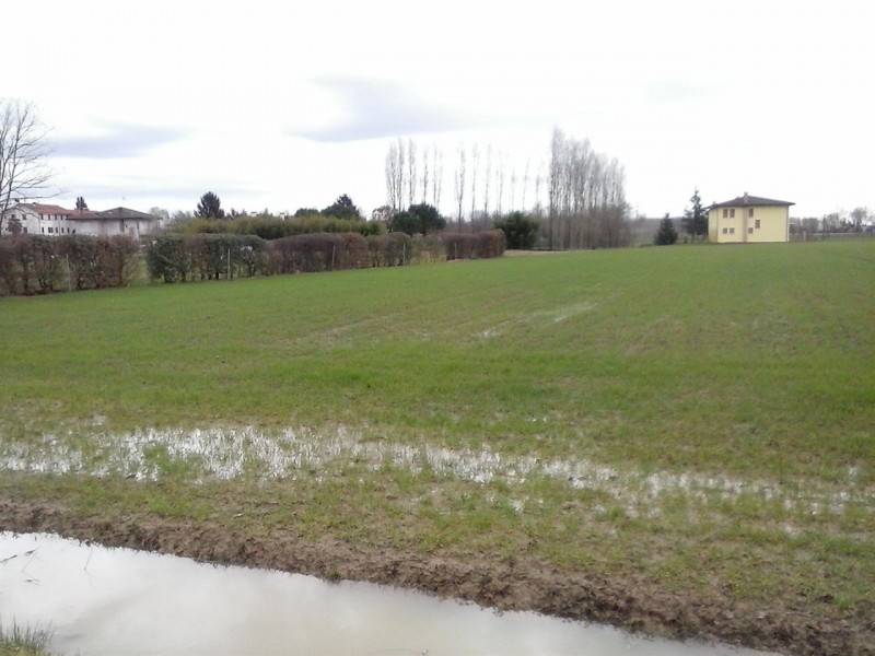 Altro San Cipriano, Roncade