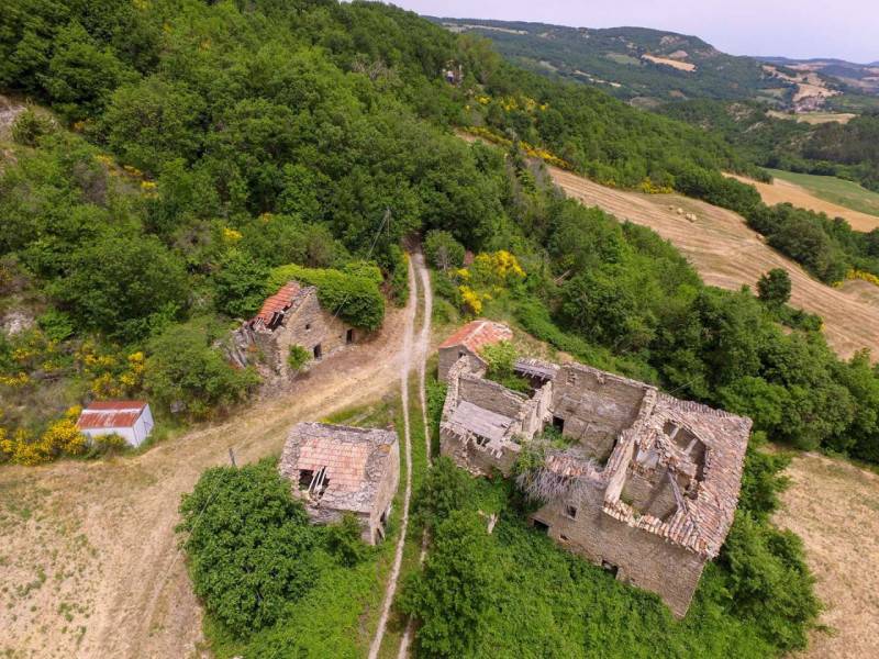Rustico, Carpegna