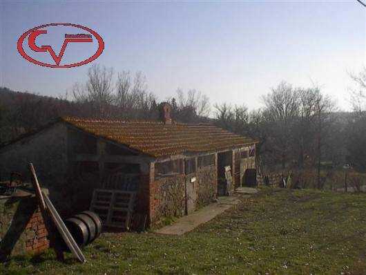  - foto 7