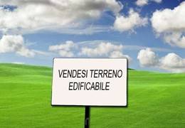 Altro Via Roma, Cartura