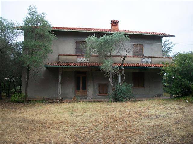  - foto 6