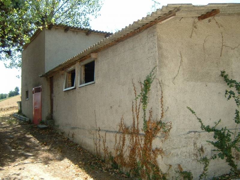  - foto 5