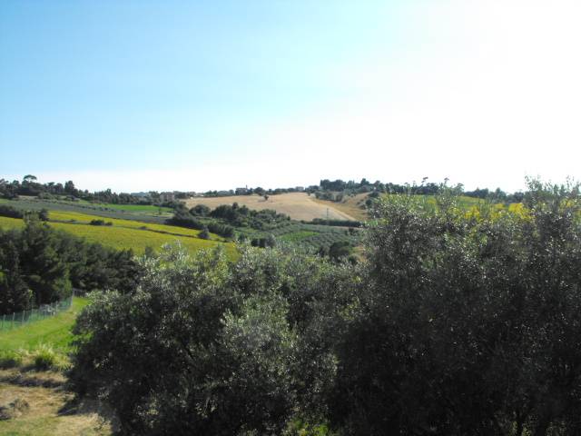  - foto 4