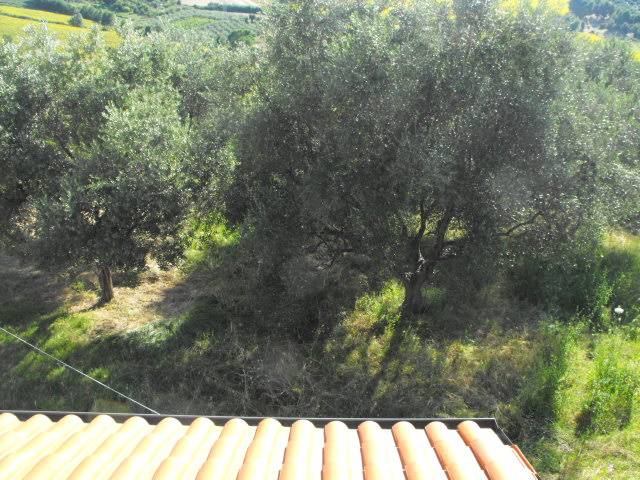  - foto 8