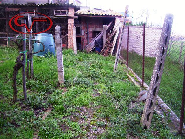  - foto 6