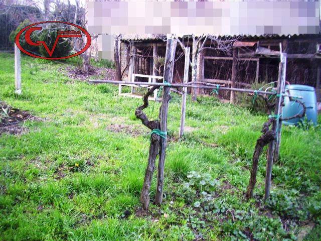  - foto 7