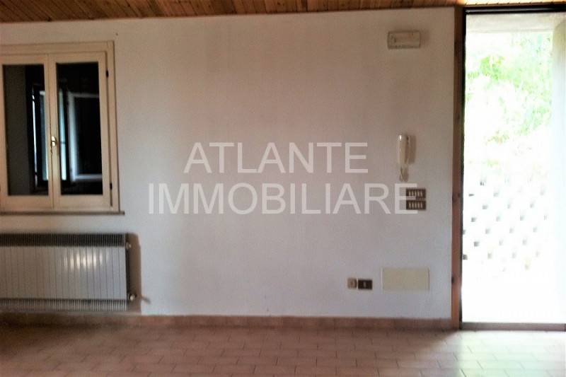  - foto 9