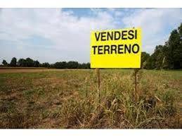 Altro Piazza Municipio, 10, Maserà di Padova