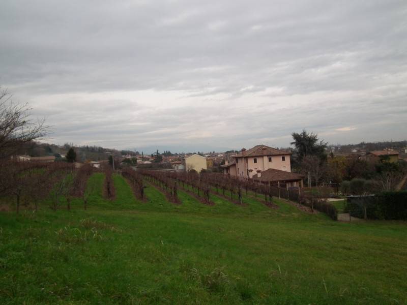 Rustico Via Caldretta, Maser