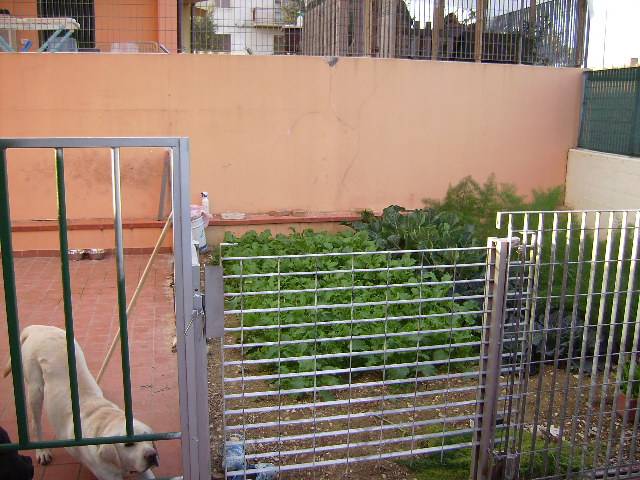  - foto 5