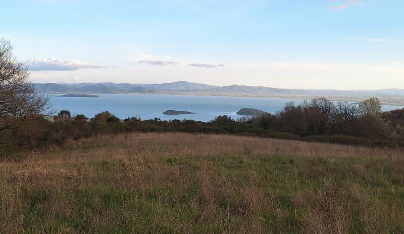Terreno agricolo Strada Regionale 416 del Niccone, Tuoro sul Trasimeno