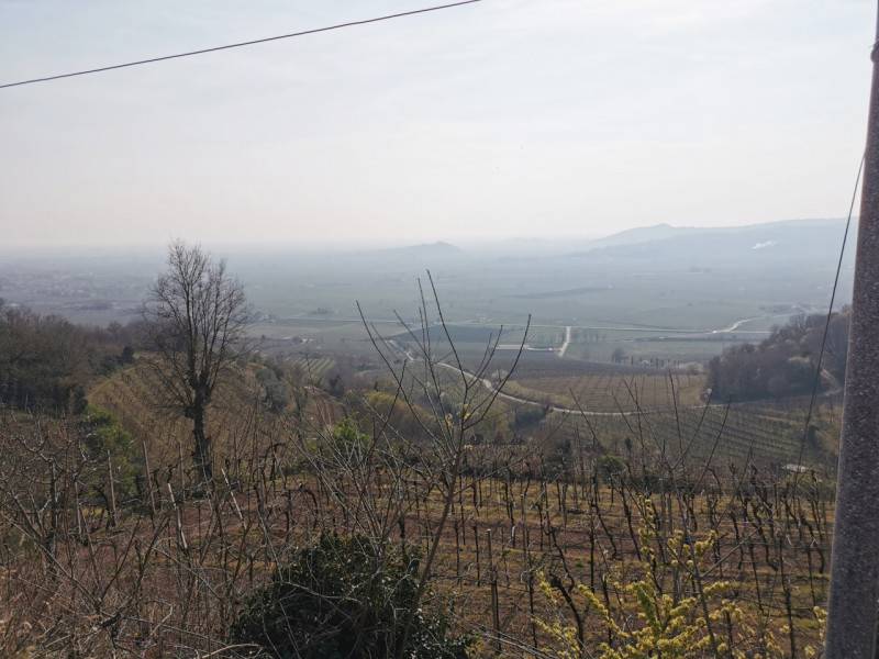Altro Via Ettore Ruffo, Soave