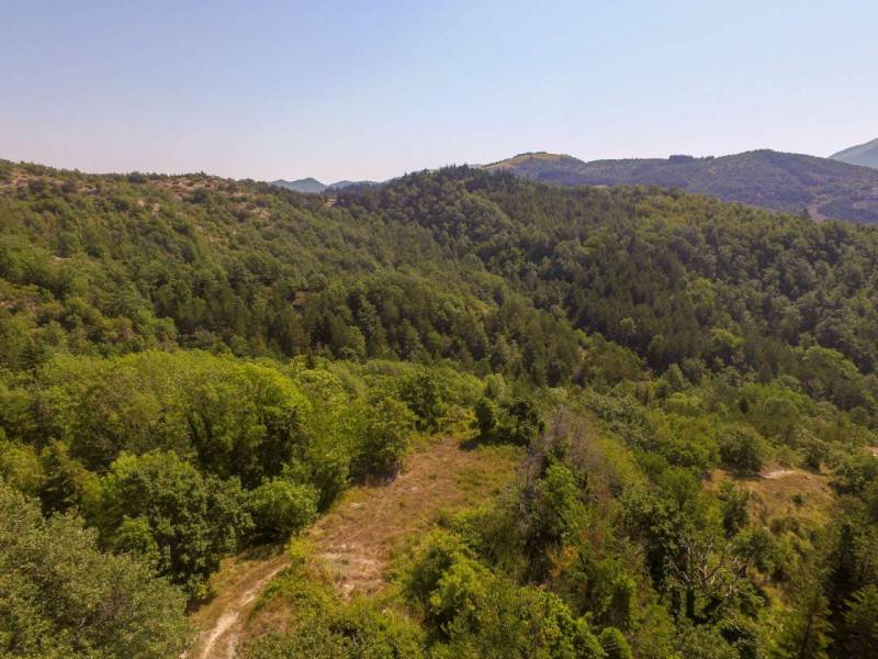 Rustico Monteforno, Piobbico