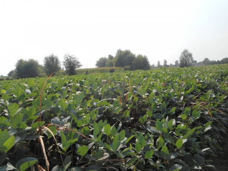  - foto 3