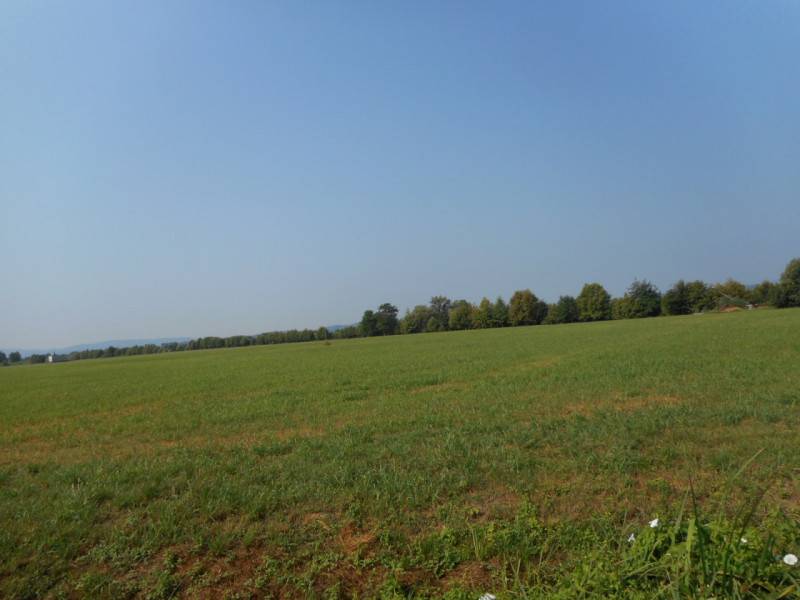  - foto 5
