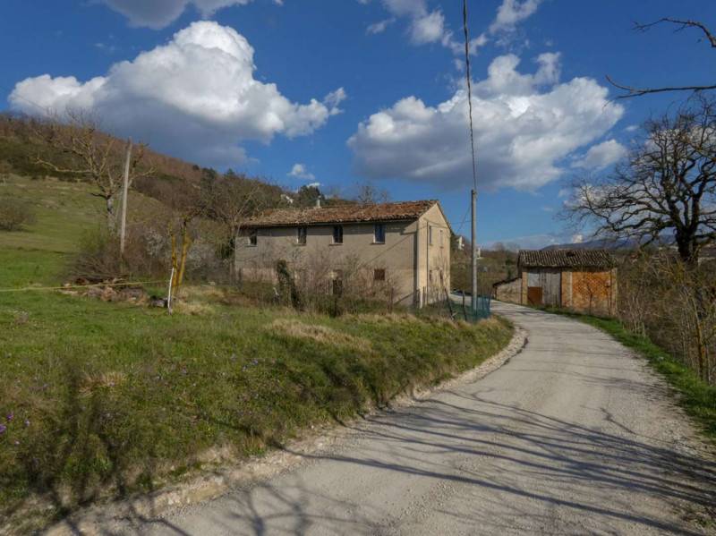 Rustico, Cagli