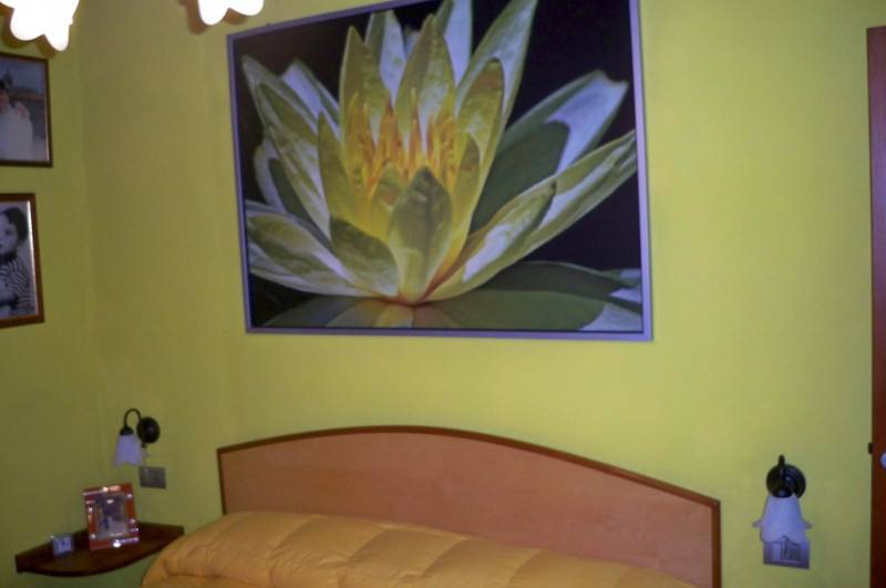  - foto 6