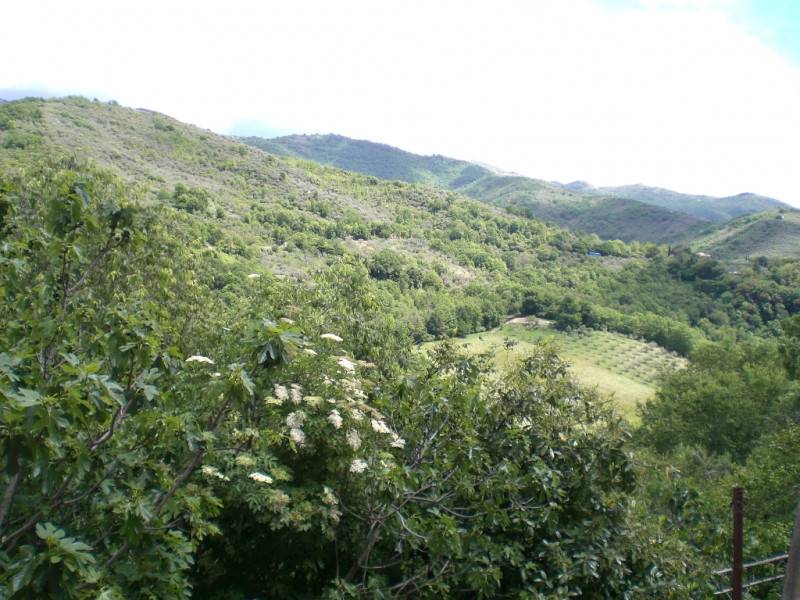 - foto 8