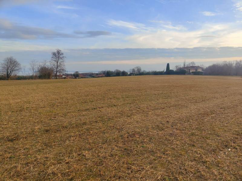Terreno agricolo Barcuzzi, Lonato del Garda