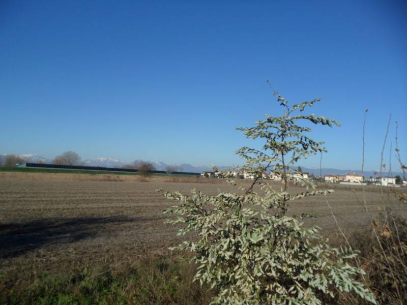 Terreno agricolo Lerino, Torri di Quartesolo