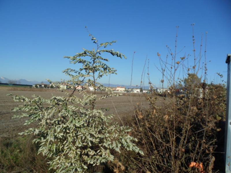  - foto 10