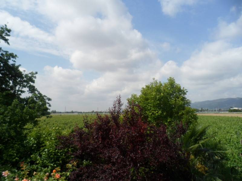 - foto 10