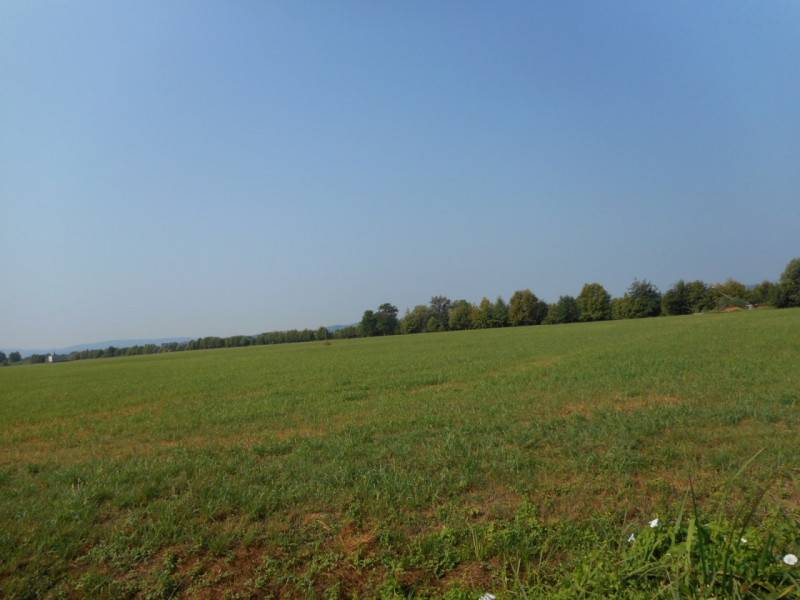  - foto 8