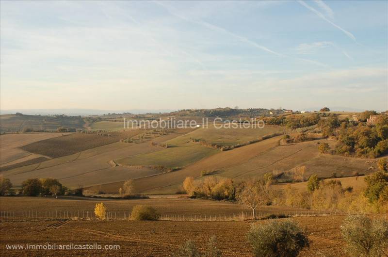 Altro Strada provinciale di Pozzuolo, Castiglione del Lago