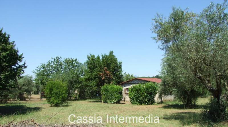 Terreno agricolo Via Amerina, Castel Sant'Elia