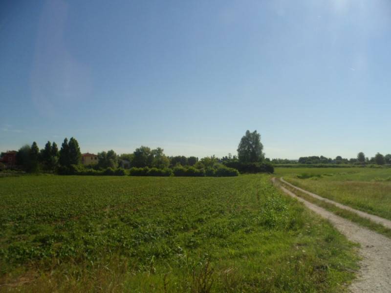  - foto 9