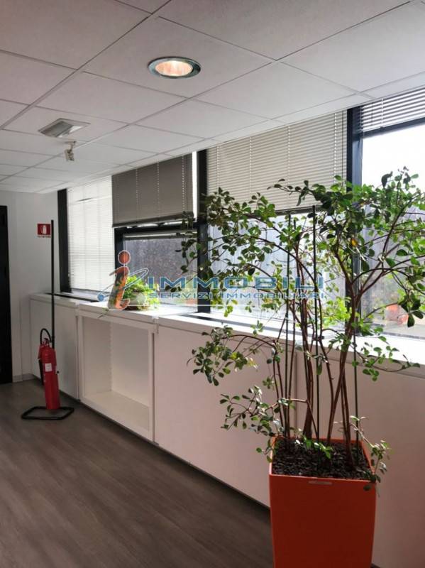 Ufficio Viale Milanofiori, Assago