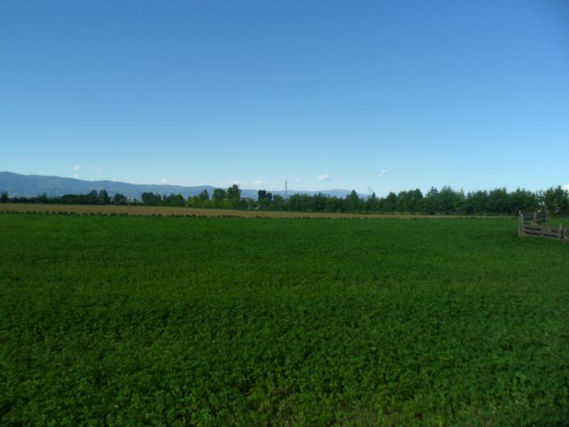  - foto 10