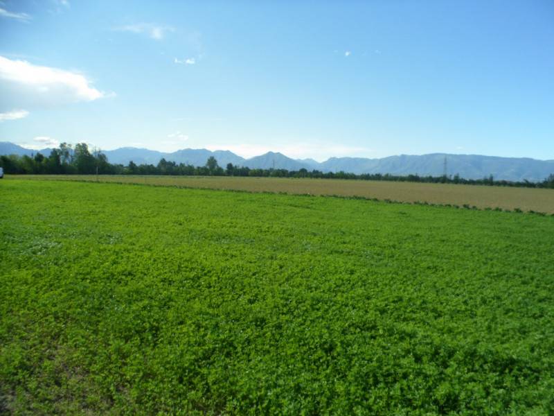  - foto 5