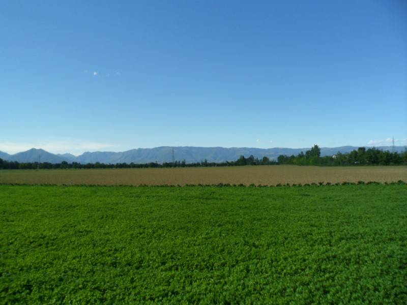  - foto 6
