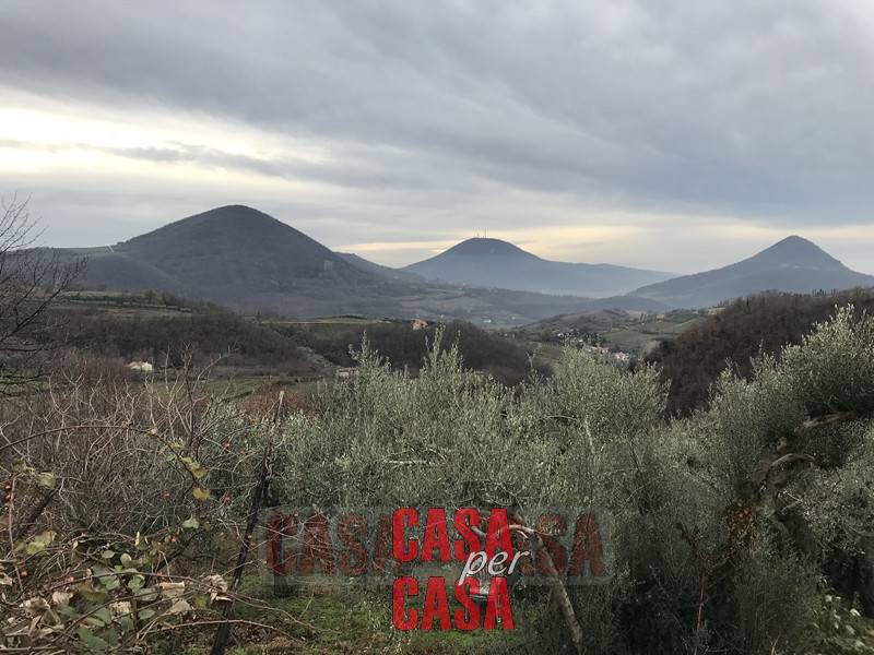  - foto 4