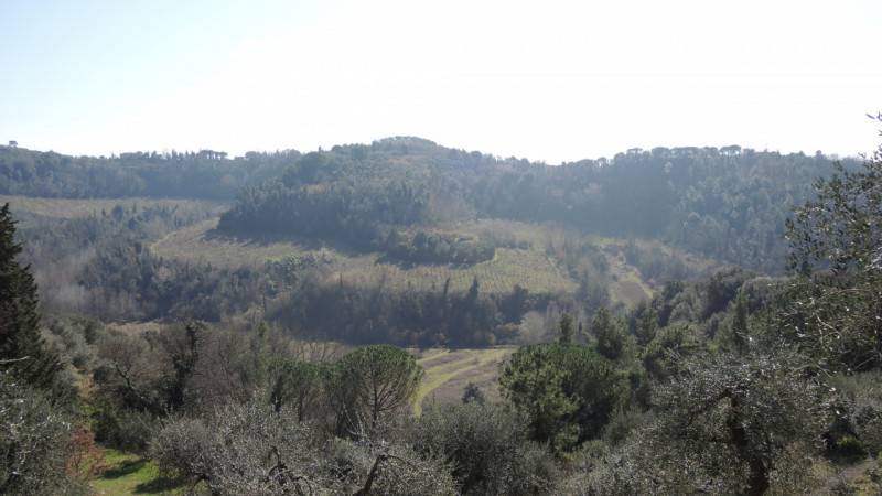 Rustico Usigliano, Palaia