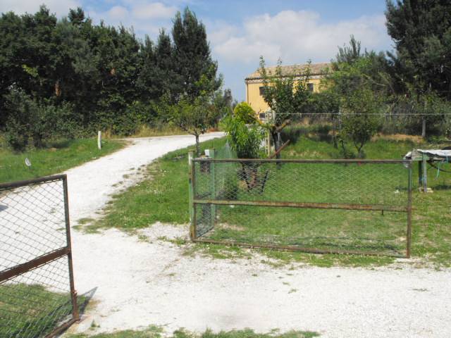 - foto 2