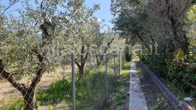 Casa Bi - Trifamiliare Via delle Collacchie, Castiglione della Pescaia