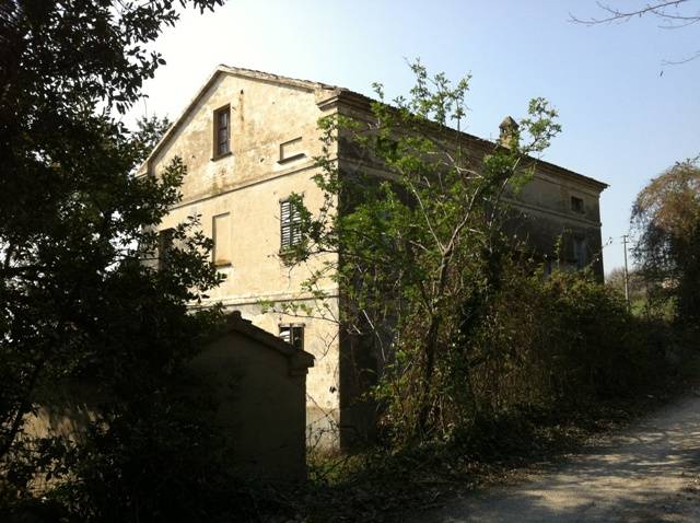 Rustico Ripe, Trecastelli