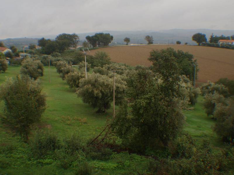  - foto 7